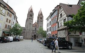 Gite Les Tourterelles Selestat - 30Min Europapark